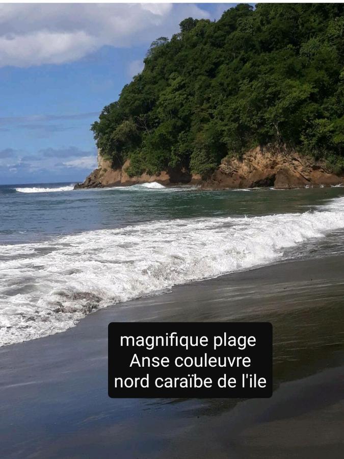 A La Montagne Daire Le Morne-Vert Dış mekan fotoğraf